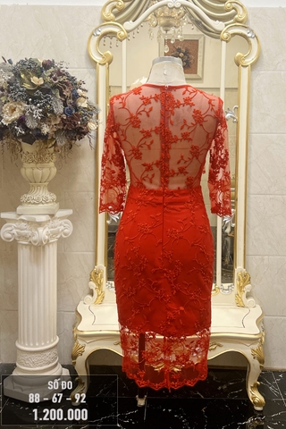 Váy dự tiệc ren quyến rũ