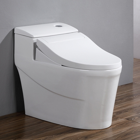 Bồn Cầu Liền Khối  LK888