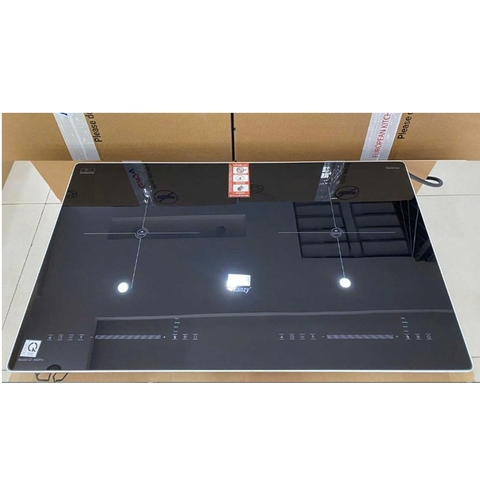 Bếp Từ Đôi CANZY 666 Pro