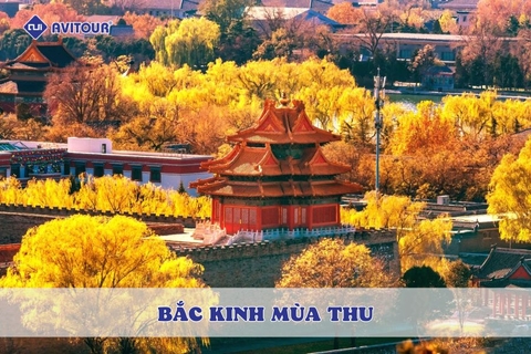 Bắc Kinh mùa thu: Điểm đến du lịch không thể bỏ lỡ năm 2025