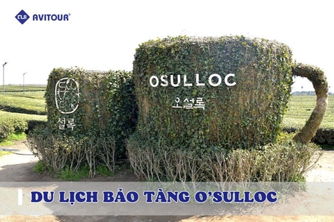 Bảo tàng O'Sulloc - Tách trà nằm giữa cánh đồng xanh bát ngát