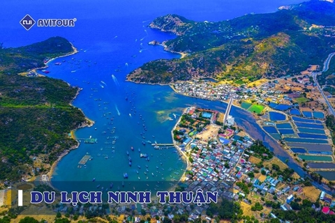 Cẩm nang du lịch Ninh Thuận 2023 cho người đi lần đầu