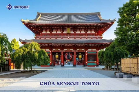 Chùa Sensoji Tokyo: Ngôi chùa cổ linh thiêng giữa lòng Asakusa