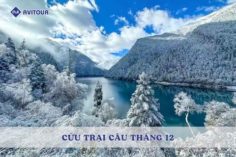 Có Nên Đi Du Lịch Cửu Trại Câu Tháng 12?