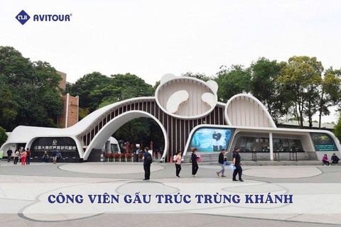 Công viên gấu trúc Trùng Khánh: Tọa độ gặp gỡ 