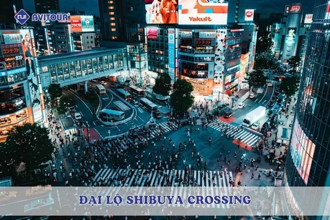 Đại lộ Shibuya Crossing: Biểu tượng nhộn nhịp bậc nhất Tokyo
