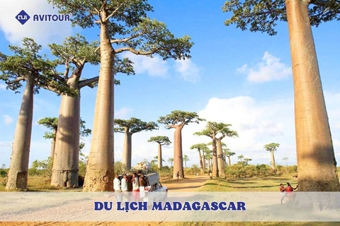 Du lịch Madagascar - Khám phá “lục địa thứ tám” kỳ bí