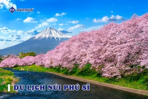 Du lịch núi Phú Sĩ - Kiệt tác thiên nhiên của Nhật Bản