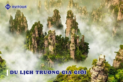 Du lịch Trương Gia Giới - khám phá tiên cảnh nơi hạ giới