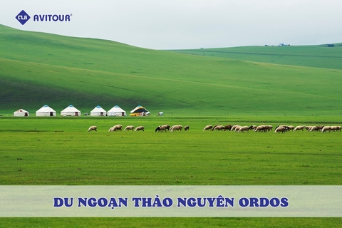 Du ngoạn thảo nguyên Ordos: Khám phá thảo nguyên bát ngát
