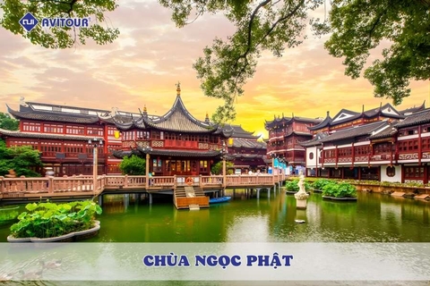 Khám phá Chùa Ngọc Phật và nét đẹp văn hóa Phật giáo