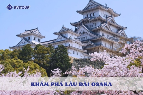 Khám phá lâu đài Osaka: Biểu tượng lịch sử và vẻ đẹp bốn mùa của Nhật Bản
