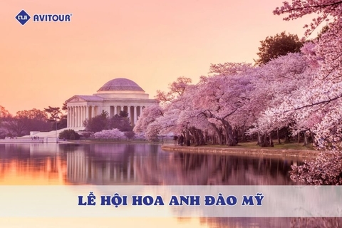 Khám phá sắc hồng rực rỡ tại lễ hội hoa anh đào Mỹ