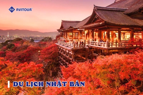 Khám phá top 7 ngôi đền chùa nổi tiếng linh thiêng ở Nhật