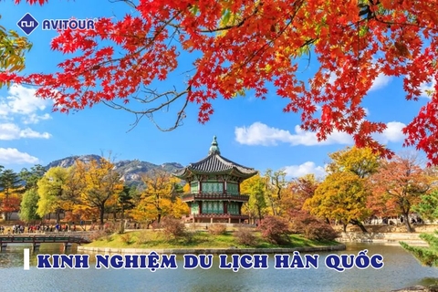Kinh nghiệm du lịch Hàn Quốc nhất định bạn phải biết