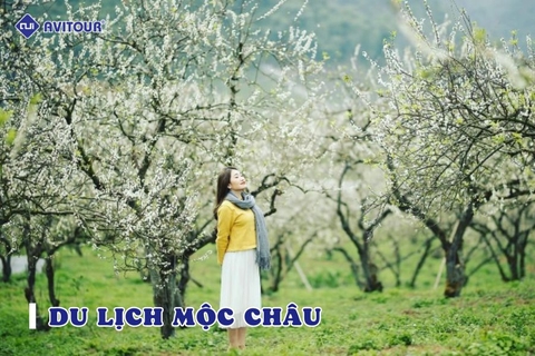 Kinh nghiệm du lịch Mộc Châu không thể kĩ hơn