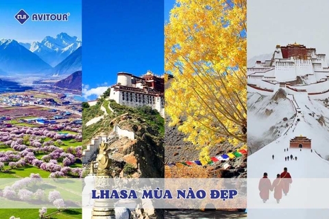 Lhasa mùa nào đẹp nhất? Gợi ý thời điểm lý tưởng để khám phá nóc nhà thế giới