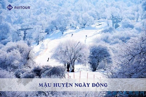 Mậu Huyện ngày đông: Bản tình ca tuyết trắng giữa lòng Tứ Xuyên