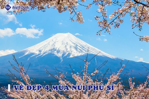 Say đắm vẻ đẹp bốn mùa núi Phú Sĩ Nhật Bản