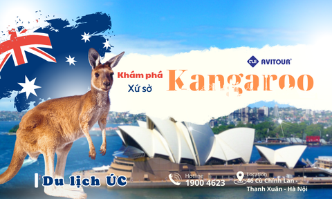 🧳 11 Điều Kỳ Lạ Phải Đi Mới Thấy Ở Nước Úc - Xứ Sở Chuột Túi 🦘