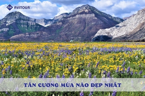 Tân Cương mùa nào đẹp nhất? Bỏ túi ngay bí kíp chọn thời điểm du lịch phù hợp