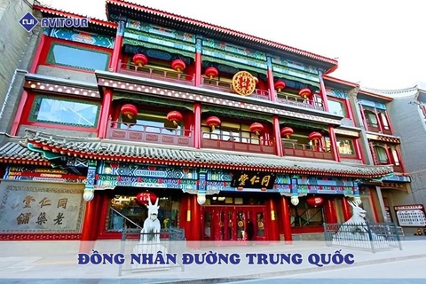 Theo dấu Đồng Nhân Đường Trung Quốc và tinh hoa y học cổ truyền