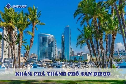Top 7 điểm check-in không thể bỏ lỡ khi khám phá thành phố San Diego