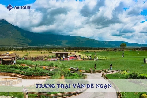 Trang trại Vân Đê Ngạn: Điểm check-in thơ mộng giữa thiên nhiên Vân Nam