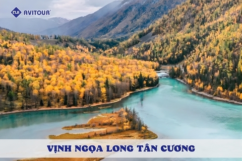 Vịnh Ngọa Long Tân Cương: Chiêm ngưỡng 
