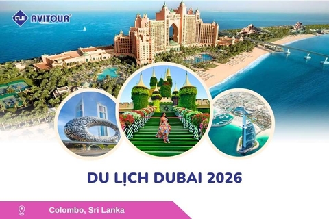 Du lịch Dubai 2026: Dubai - Safari - Abu Dhabi