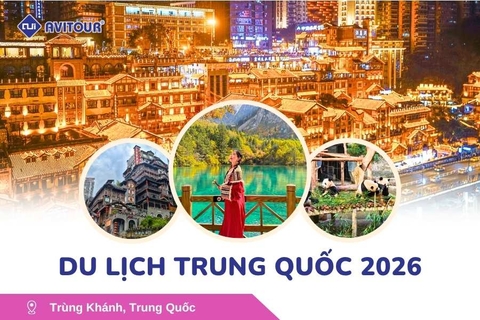 Du Lịch Trung Quốc 2026: Trùng Khánh - Từ Khí Khẩu - Hồng Nhai Động - Công Viên Gấu Trúc - Tịnh Thổ A Bá - Phố Cổ Cẩm Lý - Thành Đô - Cửu Trại Câu