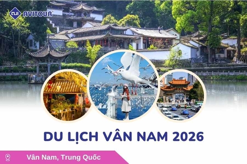 Du lịch Vân Nam 2026: Hà Khẩu - Côn Minh - Đằng Xung - Làng Ngân Hạnh - Hòa Thuận Cổ Trấn