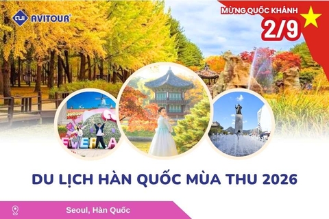 Du Lịch Hàn Quốc Mùa Thu Lễ 2/9/2026: Seoul City - Nami Island - Du thuyền Sông Hàn - Công Viên Seoul Forest - Làng Ikseon Dong - Tắm Sauna - Coex Starfield - Everland