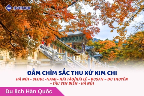 ĐẮM CHÌM SẮC THU XỨ KIM CHI: HÀ NỘI - SEOUL -NAMI– HÁI TÁO/HÁI LÊ – BUSAN – DU THUYỀN – TÀU VEN BIỂN - HÀ NỘI