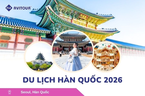 Du lịch Hàn Quốc 2026: Tour Hà Nội - Seoul - Nami - Everland - Painter Show - Thư Viện Sách