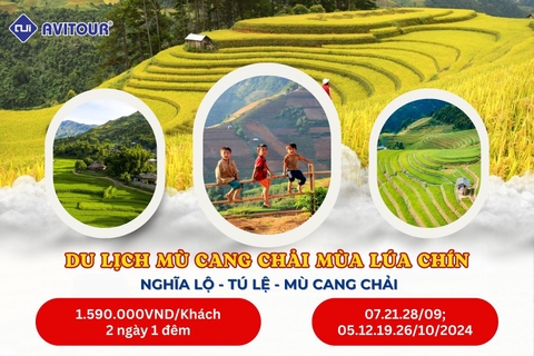 DU LỊCH MÙ CANG CHẢI MÙA LÚA CHÍN | NGHĨA LỘ - TÚ LỆ - MÙ CANG CHẢI