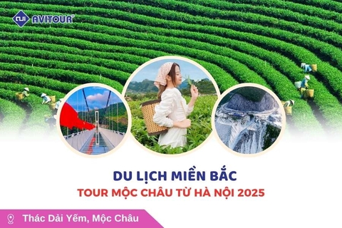 Du lịch Việt Nam: Tour Mộc Châu khởi hành từ Hà Nội 2025