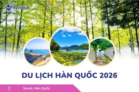 Du Lịch Hàn Quốc Mùa Hè 2026:  Hà Nội - Busan - Gyeongju - Seoul - Đảo Nami - Tàu Điện Ven Biển Haeundae - Cầu Kính Oryukdo - Làng Văn Hóa Huinnyeoul