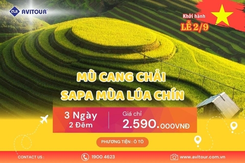 Du lịch Tây Bắc 2023| Mù Cang Chải - Sapa Mùa lúa chín