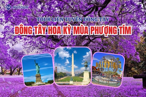 KHÁM PHÁ ĐÔNG TÂY HOA KỲ MÙA PHƯỢNG TÍM 2025