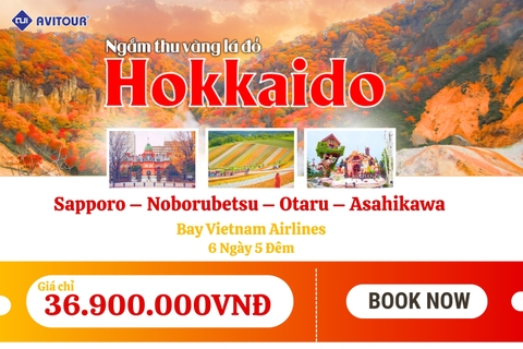 Du lịch Nhật Bản 2023| Khám Phá Hokkaido – Vùng Đất Vàng