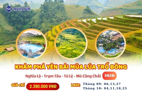 Yên Bái mùa lúa Vàng 2024: HÀ NỘI – NGHĨA LỘ - TRẠM TẤU – TÚ LỆ - MÙ CANG CHẢI – HÀ NỘI
