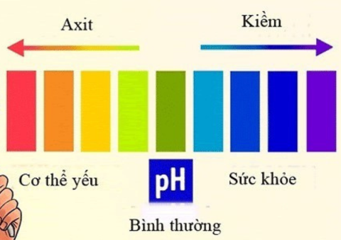 SỰ CÂN BẰNG GIỮA AXIT VÀ KIỀM