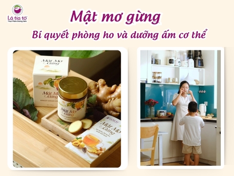 Mật Mơ Gừng: Bí quyết phòng ho và dưỡng ấm cơ thể từ bên trong