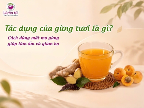 Tác dụng của gừng tươi là gì? Cách dùng mật mơ gừng giúp làm ấm và giảm ho