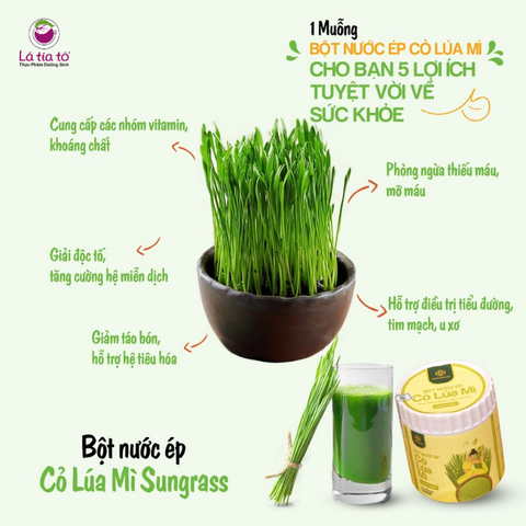 Bột nước ép cỏ lúa mì Sungrass