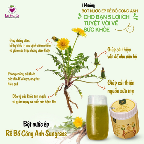 Bột nước ép rễ bồ công anh Sungrass