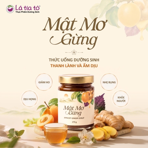 Mật mơ gừng Tía Tô