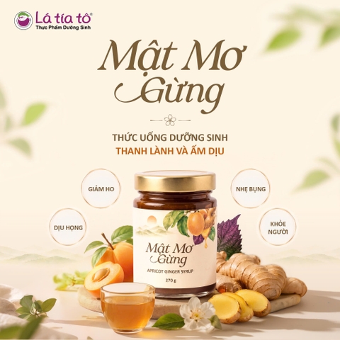 Mật mơ gừng Tía Tô