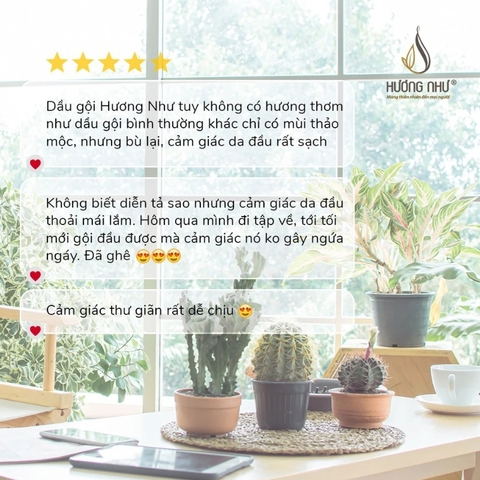 Dầu gội thảo dược - tóc khô